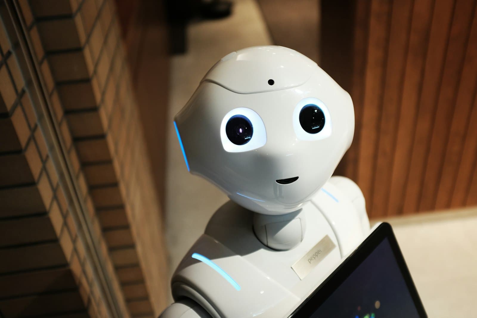 An AI assistant robot